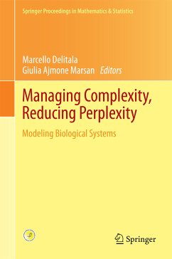 Managing Complexity, Reducing Perplexity (eBook, PDF)