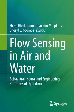Flow Sensing in Air and Water (eBook, PDF)