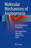 Molecular Mechanisms of Angiogenesis (eBook, PDF)