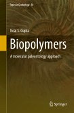 Biopolymers (eBook, PDF)