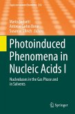 Photoinduced Phenomena in Nucleic Acids I (eBook, PDF)