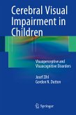 Cerebral Visual Impairment in Children (eBook, PDF)