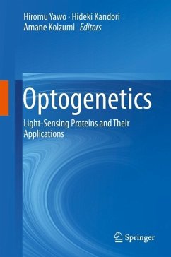 Optogenetics (eBook, PDF)