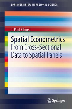 Spatial Econometrics (eBook, PDF) - Elhorst, J. Paul