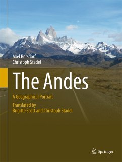 The Andes (eBook, PDF) - Borsdorf, Axel; Stadel, Christoph