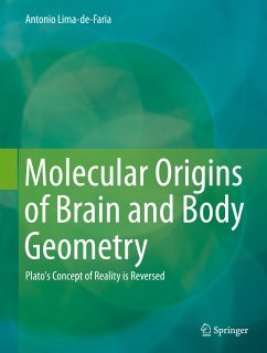 Molecular Origins of Brain and Body Geometry (eBook, PDF) - Lima-de-Faria, Antonio
