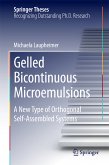 Gelled Bicontinuous Microemulsions (eBook, PDF)