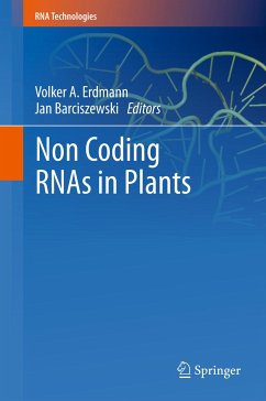 Non Coding RNAs in Plants (eBook, PDF)