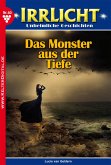 Irrlicht 60 – Mystikroman (eBook, ePUB)