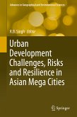 Urban Development Challenges, Risks and Resilience in Asian Mega Cities (eBook, PDF)