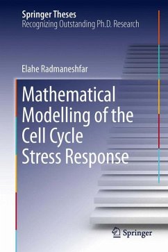 Mathematical Modelling of the Cell Cycle Stress Response (eBook, PDF) - Radmaneshfar, Elahe