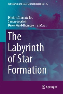 The Labyrinth of Star Formation (eBook, PDF)