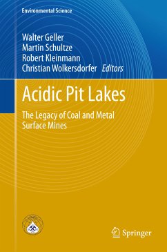 Acidic Pit Lakes (eBook, PDF)