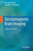 Electromagnetic Brain Imaging (eBook, PDF)