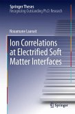 Ion Correlations at Electrified Soft Matter Interfaces (eBook, PDF)