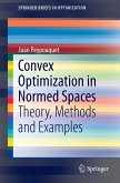 Convex Optimization in Normed Spaces (eBook, PDF)