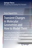 Transient Changes in Molecular Geometries and How to Model Them (eBook, PDF)
