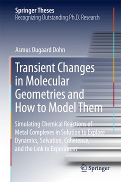 Transient Changes in Molecular Geometries and How to Model Them (eBook, PDF) - Dohn, Asmus Ougaard