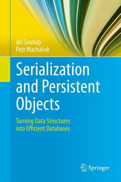 Serialization and Persistent Objects (eBook, PDF) - Soukup, Jiri; Macháček, Petr