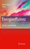 Energieeffizienz (eBook, PDF)