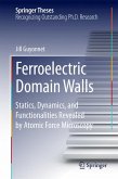 Ferroelectric Domain Walls (eBook, PDF)