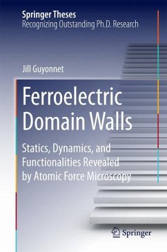Ferroelectric Domain Walls (eBook, PDF) - Guyonnet, Jill