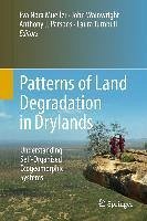 Patterns of Land Degradation in Drylands (eBook, PDF)