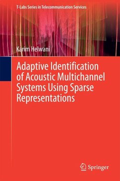 Adaptive Identification of Acoustic Multichannel Systems Using Sparse Representations (eBook, PDF) - Helwani, Karim