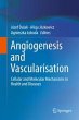 Angiogenesis and Vascularisation... - Bild 1