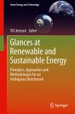 Glances at Renewable and Sustainable Energy (eBook, PDF)