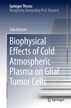 Biophysical Effects of Cold Atmospheric Plasma on Glial Tumor Cells (eBook, PDF) - Köritzer, Julia