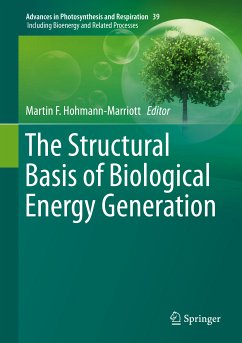 The Structural Basis of Biological Energy Generation (eBook, PDF)