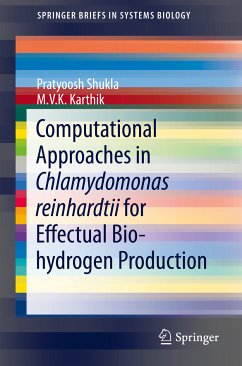 Computational Approaches in Chlamydomonas reinhardtii for Effectual Bio-hydrogen Production (eBook, PDF) - Shukla, Pratyoosh; Karthik, M.V.K.