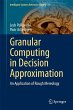 Granular Computing in Decision... - Bild 1