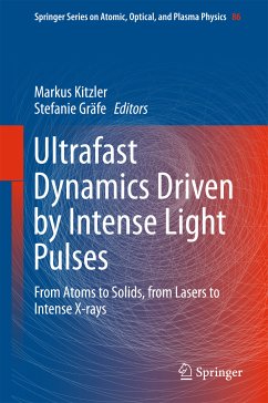 Ultrafast Dynamics Driven by Intense Light Pulses (eBook, PDF)