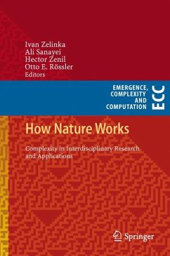 How Nature Works (eBook, PDF)