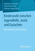 Kindeswohl zwischen Jugendhilfe, Justiz und Gutachter (eBook, PDF)