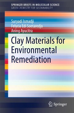 Clay Materials for Environmental Remediation (eBook, PDF) - Ismadji, Suryadi; Soetaredjo, Felycia Edi; Ayucitra, Aning