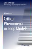 Critical Phenomena in Loop Models (eBook, PDF)