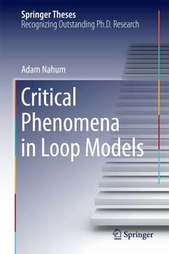 Critical Phenomena in Loop Models (eBook, PDF) - Nahum, Adam