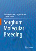 Sorghum Molecular Breeding (eBook, PDF)