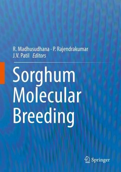 Cover Sorghum Molecular Breeding (eBook, PDF)