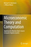 Microeconomic Theory and Computation (eBook, PDF)