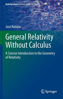 General Relativity Without Calculus (eBook, PDF) - Natario, Jose