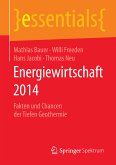 Energiewirtschaft 2014 (eBook, PDF)