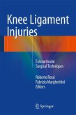 Knee Ligament Injuries (eBook, PDF)