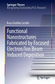 Functional Nanostructures Fabricated by Focused Electron/Ion Beam Induced Deposition (eBook, PDF)
