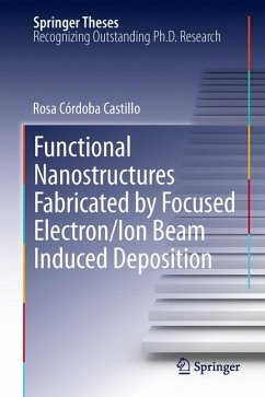 Functional Nanostructures Fabricated by Focused Electron/Ion Beam Induced Deposition (eBook, PDF) - Córdoba Castillo, Rosa