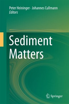 Sediment Matters (eBook, PDF)