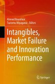 Intangibles, Market Failure and Innovation Performance (eBook, PDF)